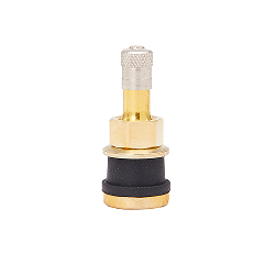 TIRE VALVE TR501