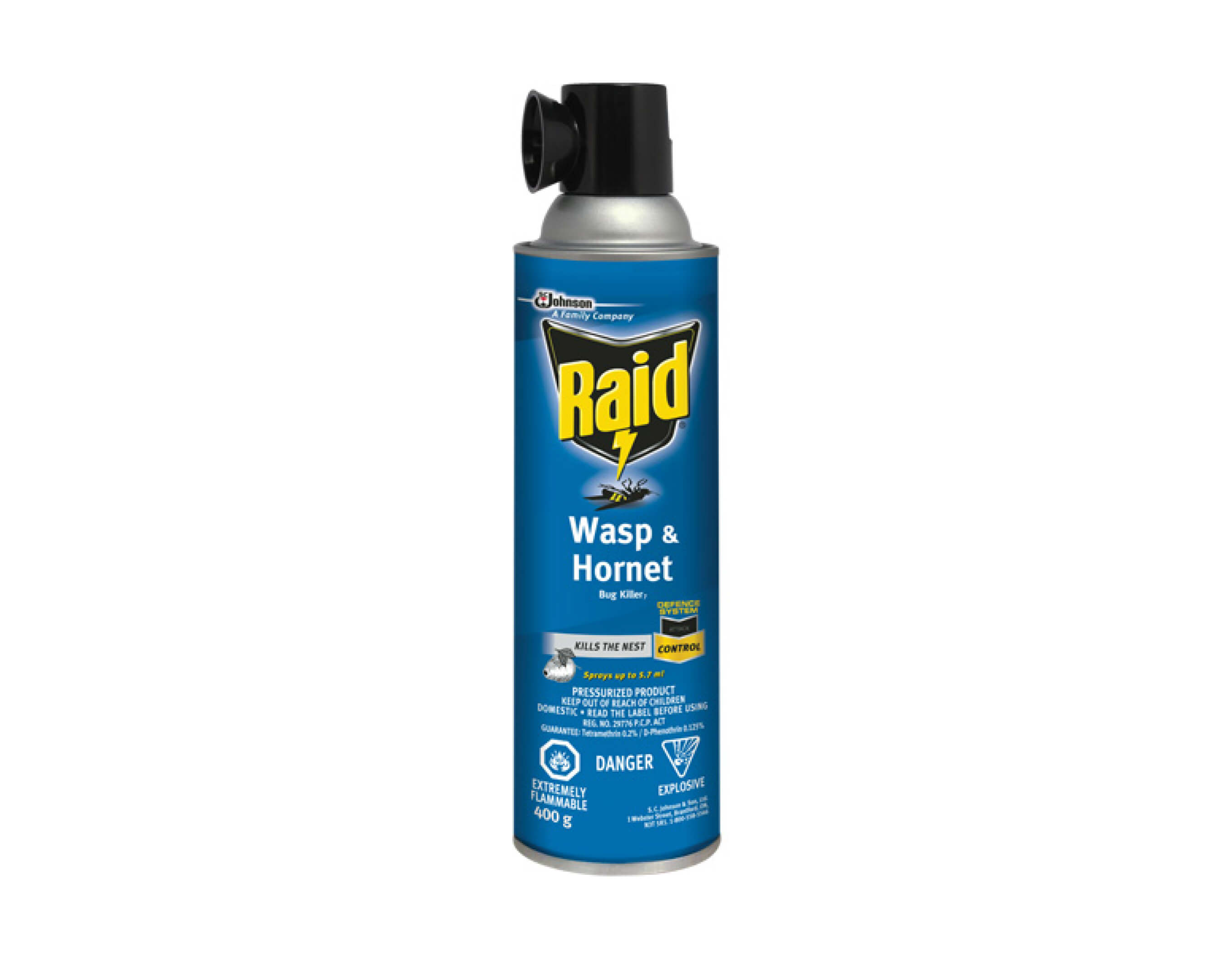 Raid Wasp & Hornet Bug Killer
